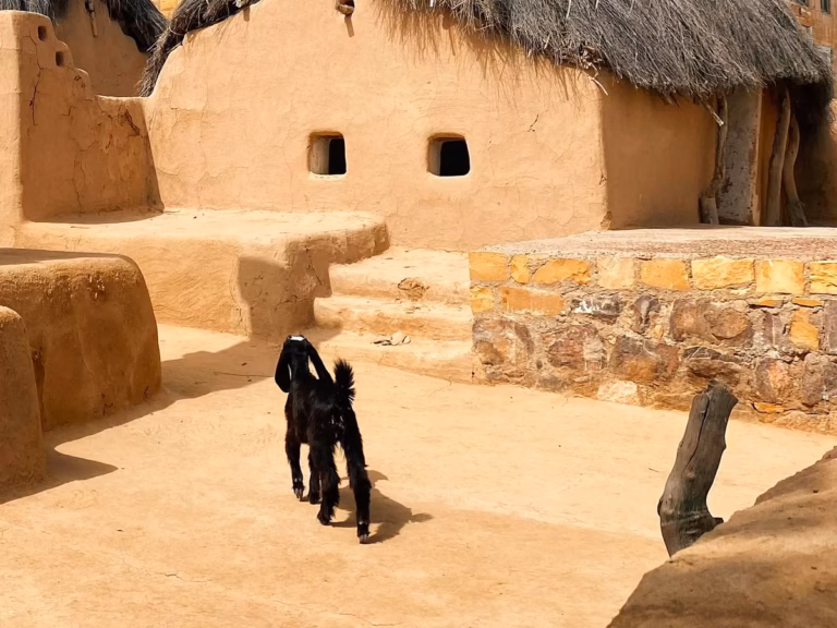 Traditional mud house in a Thar Desert village near Jaisalmer